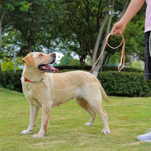 Waterproof Dog Leash, 5/6 FT Durable Odor-Proof Dog Leashes with Strong Metal Hooks Fits Small Medium or Large Dogs (Orange, 5FT - 3/4 inch Width) - Image 6