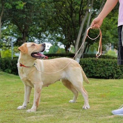 Waterproof Dog Leash, 5/6 FT Durable Odor-Proof Dog Leashes with Strong Metal Hooks Fits Small Medium or Large Dogs (Orange, 5FT - 3/4 inch Width) - Image 6