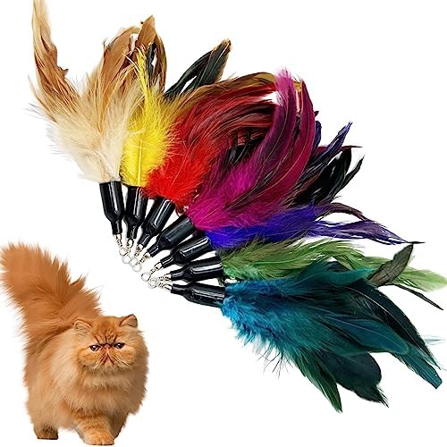 Cat Feather Toys Refill, 16 Pieces Cat Wand Replacement Feathers Toy for Indoor Cats - Image 5