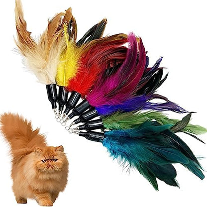 Cat Feather Toys Refill, 16 Pieces Cat Wand Replacement Feathers Toy for Indoor Cats - Image 5