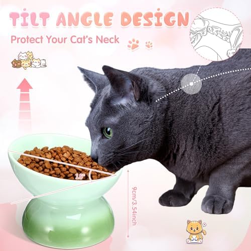 Hushee 4 Pcs Ceramic Raised Cat Food Bowls Elevated Tilted Dish Anti Vomiting Food or Water Bowls Pet Supplies - Image 5