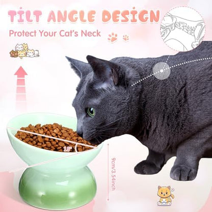 Hushee 4 Pcs Ceramic Raised Cat Food Bowls Elevated Tilted Dish Anti Vomiting Food or Water Bowls Pet Supplies - Image 5