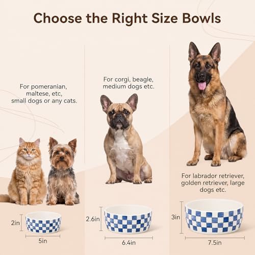 6.4 inch Ceramic Hand Painted Basic Dog Bowl Set of 2 with Anti-Skid Rubber Base, Food and Water Bowls for Small Pets,Blue - Image 7