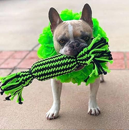 Jolly Pet Knot-N-Chew Tube Squeaker Green/Black Small/Medium