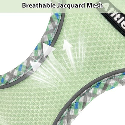 AIITLE Small Dog Harness and Leash Set with Strong Magic Tape, Sage XS - Image 4