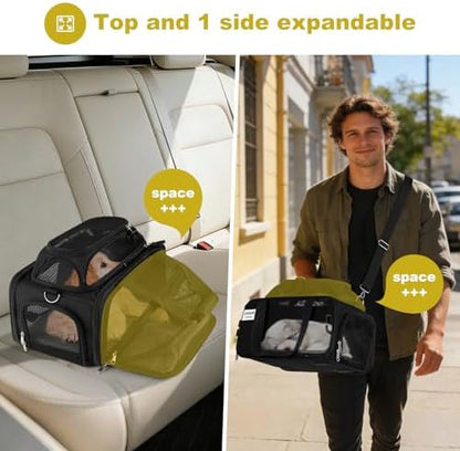 pidipiti 17x11x9.5 Soft-Sided pet Carrier,for Extra-Small Dog or Medium cat - Image 4