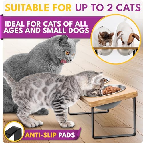 Raised cat Bowls for Indoor Cats by WinTruffles, Elevated cat Bowls, Tilted and Elevated Anti Vomiting Cat Dishes for Food and Water, Set of 2 Stainless Steel Bowl - Image 4