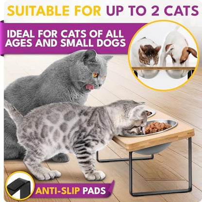 Raised cat Bowls for Indoor Cats by WinTruffles, Elevated cat Bowls, Tilted and Elevated Anti Vomiting Cat Dishes for Food and Water, Set of 2 Stainless Steel Bowl - Image 4