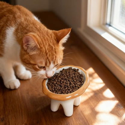 Lion Themed Tilted Ceramic Pet Bowl - High-Raised Cat/Dog Dish, 15° Anti-Regurgitation, 120g Large Capacity - Image 6