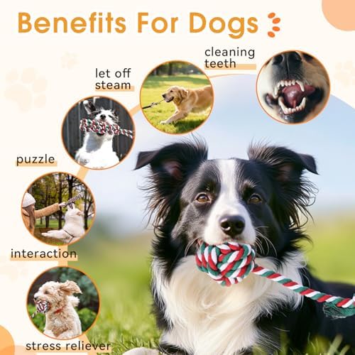 HOPET Bungee Tug Toy for Dogs,Tug of War Dog Toy for Aggressive Chewers to Keep Them Busy,Interactive Dog Rope Toy for Medium/Small Dogs,Can Used On Doors and Trees - Image 2