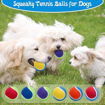 Squeaky Tennis Balls for Dogs - 12 Pack 2.5'' Durable Natural Rubber, Non-Toxic Dog Toy Balls with Mesh Bag for Outdoor Play & Training - Image 6