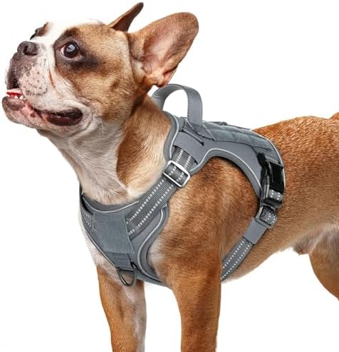 rabbitgoo Tactical Dog Harness for Small Dogs, No Pull Service Pet Vest by rabbitgoo
