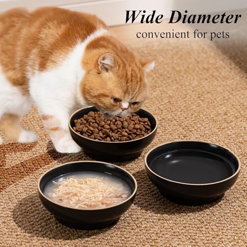 Cat Bowl Set of 3, Non Slip Dish Pet Cat Food Bowls, Shallow Water Bowl Cat Feeding Wide Bowls to Stress Relief of Whisker Fatigue, Pet Bowl for Dogs Rabbits Puppy Birds(Safe Food-Grade Ceramic) Gray - Image 3