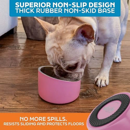Master Pet Supply Stainless Steel Slanted Dog Cat Food Bowl 8 oz Hyper Pink - Image 5