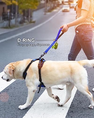 Joytale Short Dog Leash for Close Control & Training, 12", Royal Blue - Image 6