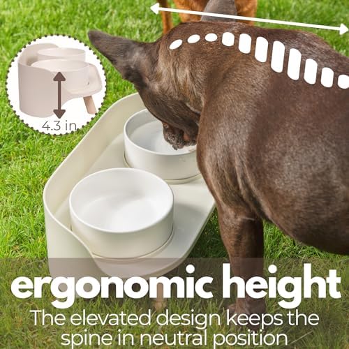 A4DOG Ceramic Dog Bowls with Stand - Elevated Dog Water and Food Bowl Set 13.5oz Cat & Dog Feeding Station Spill Proof Splash Proof Raised Pet Food Bowls for Dogs, No Mess Pet Feeder - Beige - Image 6