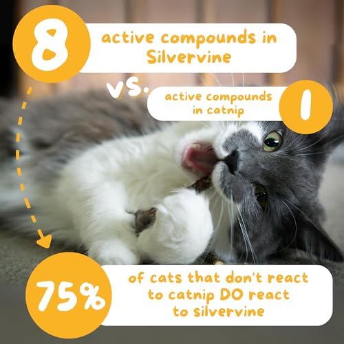 Hide & Scratch Silvervine Catnip Balls 3 Pack Hand Woven Cat Chew Toys - Image 5
