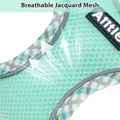 AIITLE Medium Dog Harness and Leash Set with Breathable Mesh, Sage M - Image 2