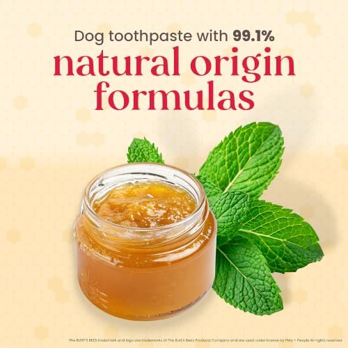 Burt's Bees Manuka Honey Fresh Mint Dog Dental Kit, 2.5 Oz - Image 5