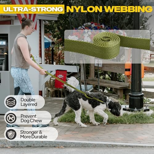 Fida 10 FT Heavy Duty Dog Leash, Dual Padded Handles for Medium Large Dogs - Image 3