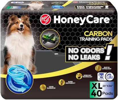 HONEY CARE All-Absorb Puppy Training Pads Dog Potty Pads Absorb Eliminating Urine Odor, Jumbo-Size Charcoal Puppy Pee Pad (Carbon, XL 28x34 inch, 40ct) by HoneyCare