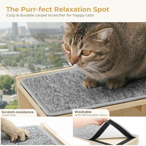 Pecute 2-in-1 Cat Window Perch & Wall Shelves, Cat Hammock Window 16"x10" - Image 6