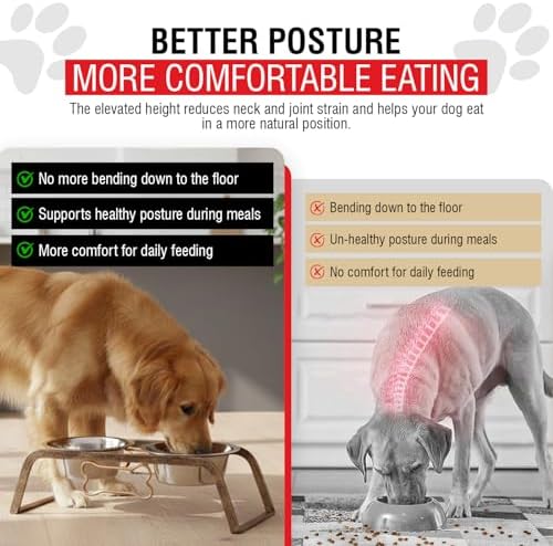 Loving Pets Elevated Dog Bowls – Raised Stainless Steel Dog Bowls with Steel Stand – Non-Skid, No Spill Feeder for Small, Medium & Large Dogs – Easy to Clean, Durable Raised Dog Feeding Station - Image 3