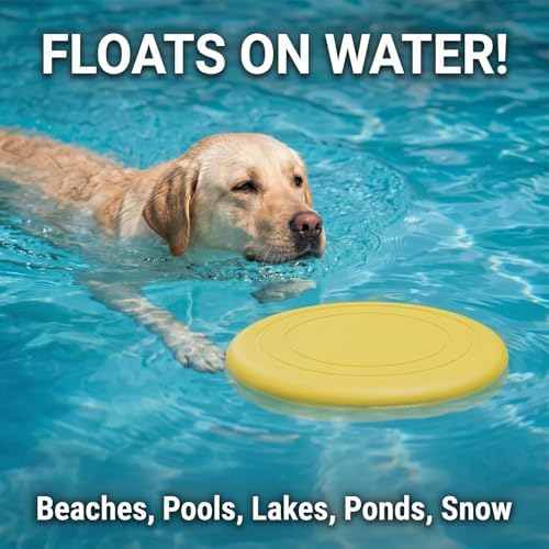 Dog Frisbee 3 Pack – Durable Rubber Dog Toys for Outdoor Fetch – 7 Inch Lightweight Floating Frisbee for Dogs, Soft on Teeth, Training & Water Play - Image 3