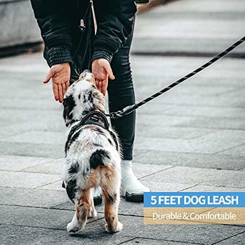 BAAPET 2/4/5/6 FT Dog Leash with Comfortable Padded Handle and Highly Reflective Threads for Small Medium and Large Dogs (5FT-1/2'', Black) - Image 5