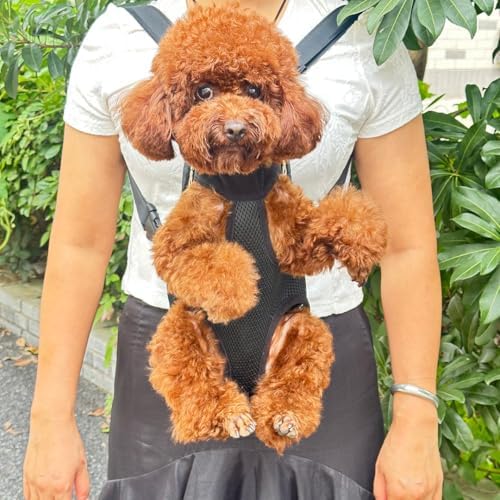 Dog Carrier Backpack, Breathable Mesh Chest Carrier for Small Dogs - Image 5