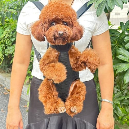 Dog Carrier Backpack, Breathable Mesh Chest Carrier for Small Dogs - Image 5