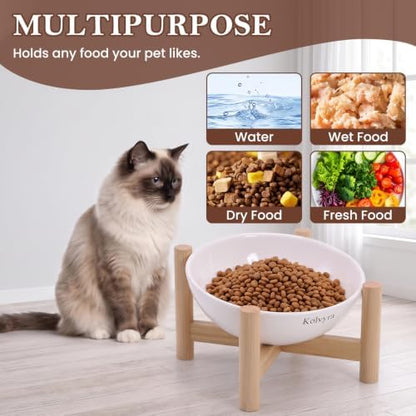 15° Slanted Rim Ceramic Cat Bowl, Anti-Spill for Small Cats,White - Image 6