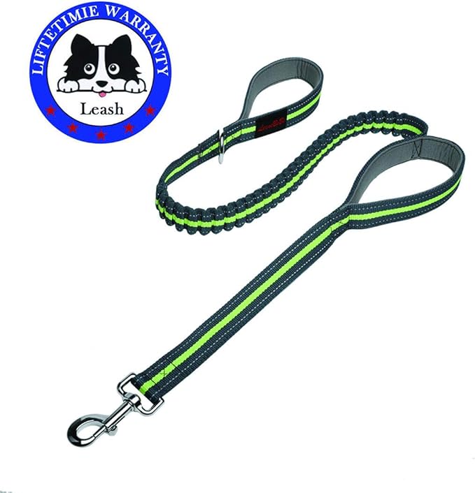 Dog Collars and Leads Heavy Duty Training Leash with Double Padded Handles Reflective 4 FT Long Perfect for Small Medium Large Dogs Walking Hiking Green LEONEBEBE