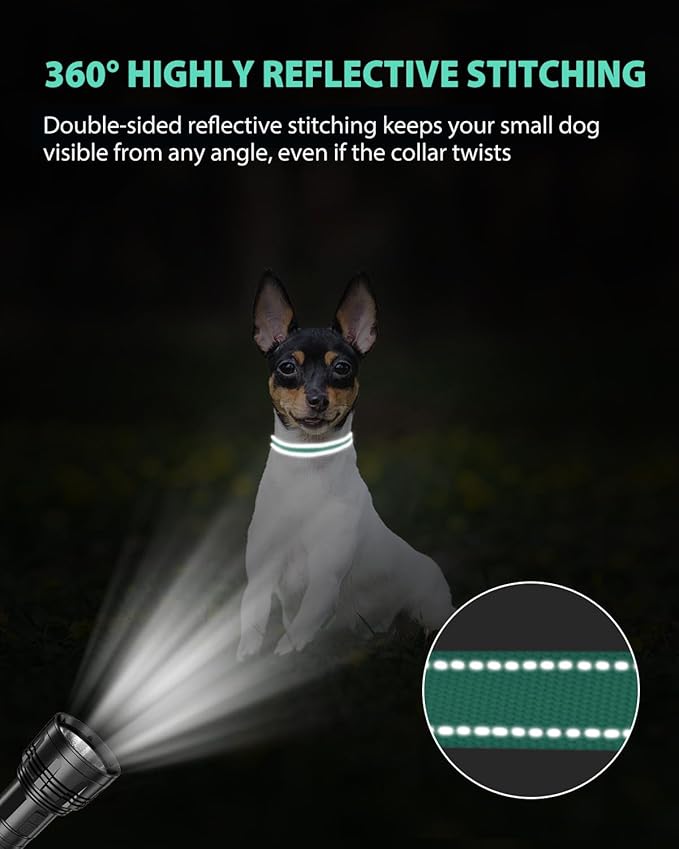 Joytale Puppy Collar, Feather-Light Double-Sided Reflective Nylon Collar for Night Safety, Adjustable Quick-Release for Extra Small Dogs, Teal, XS (3/8" Width)