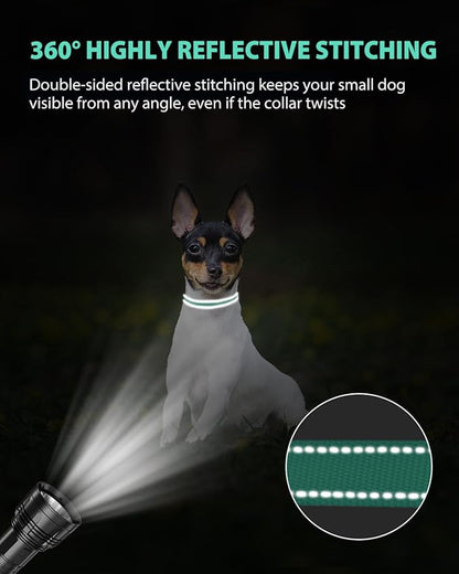 Joytale Puppy Collar, Feather-Light Double-Sided Reflective Nylon Collar for Night Safety, Adjustable Quick-Release for Extra Small Dogs, Teal, XS (3/8" Width)