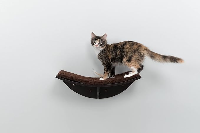 Trixie Lea Wall Mount Perch XXL, Cat Shelf with Soft Plush Cushion Bed, Ideal for Large Cats, 11 x 19-inches, Espresso Brown (44580)