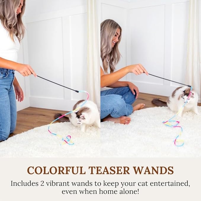 Interactive Cat Toys for Indoor Cats - Retractable Fishing Pole Teaser Wand - Suction Cup Window Mount - Hanging Door Bouncer - 9 Feather Attachments - Bored Adult Feline Activity - Kitten Juguetes