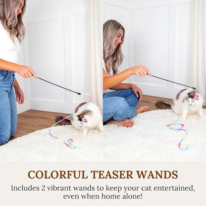 Interactive Cat Toys for Indoor Cats - Retractable Fishing Pole Teaser Wand - Suction Cup Window Mount - Hanging Door Bouncer - 9 Feather Attachments - Bored Adult Feline Activity - Kitten Juguetes