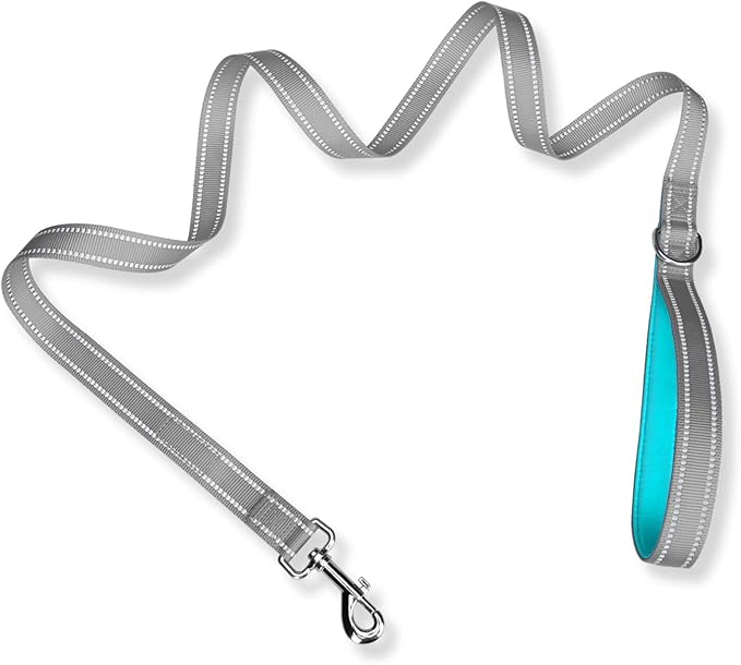 PHOEPET 5 Feet Dog Leash - Dual-Side Reflective - Soft Padded Handle - Fit for Walking, Training or Exploring Hiking, Camping (Grey + Mint Green Base)
