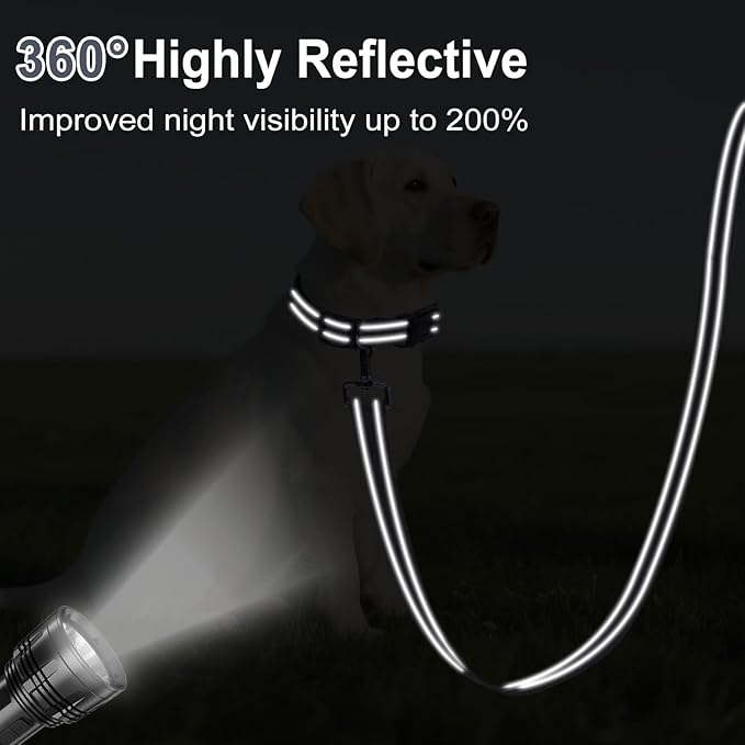 Reflective Dog Leash 4ft Soft Padded Handle Nylon Lead for Small & Medium Dogs, Durable Walking Training Leash for Night Safety (Gray,3/4Inch Wide)