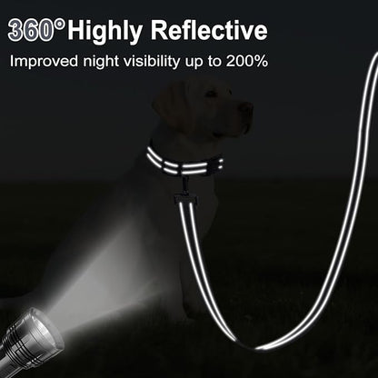 Reflective Dog Leash 4ft Soft Padded Handle Nylon Lead for Small & Medium Dogs, Durable Walking Training Leash for Night Safety (Gray,3/4Inch Wide)