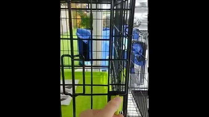 M-PETS Voyager Wire Crate 2 Doos S + New Securo Lock for Dogs Size S