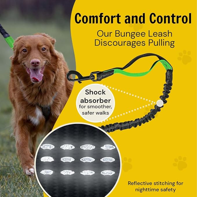 Hundefreund Hands-Free Dog Leash Replacement Bungee (47–67”) – Extension for Medium & Large Dogs – Shock-Absorbing with Dual Handles & Reflective Stitching (Green)
