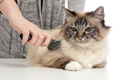 Cat Brush, Soft Pins