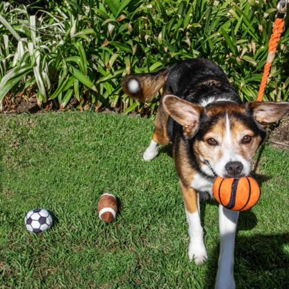 Glow Pups Sports Balls, Dog Toy with Squeakers, 3 Pack: Football, Soccer, Basketball