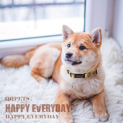 QQPETS Adjustable Soft Dog Collar: Print Flower Pink Multicolor Cute Patterns for XS Small Medium Large Pet Girl Boy Puppy Walking Running Training (S, Yellow Bee)