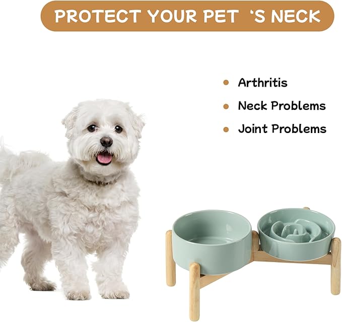 Ceramic 0.9 Cup Raised Slow Feeder Dog Bowl Set, Elevated 6.1inch Water Bowl and 6.1inch Slow Dish with Wooden Stand for Small Dogs(2 x Light Green+ Stand)