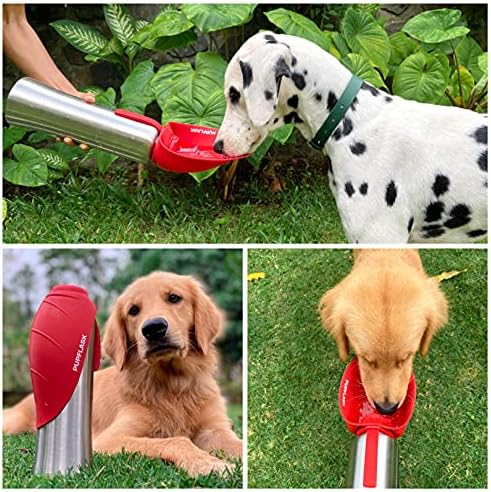 PupFlask Large Dog Water Bottle, Portable Stainless Steel Travel Bowl - Image 6