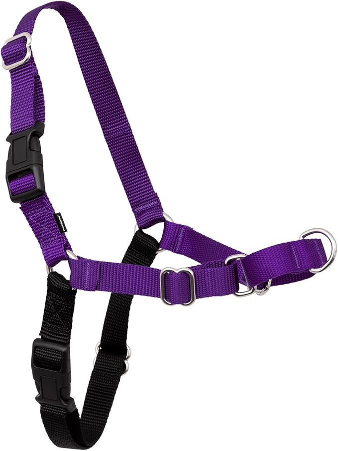 PetSafe Easy Walk Harness for Dogs - Pull-Free Walks - Patented Martingale Loop Design - Front Chest Leash Attachment - Comfort Straps - Breathable Harness Design - Large, Deep Purple/Black