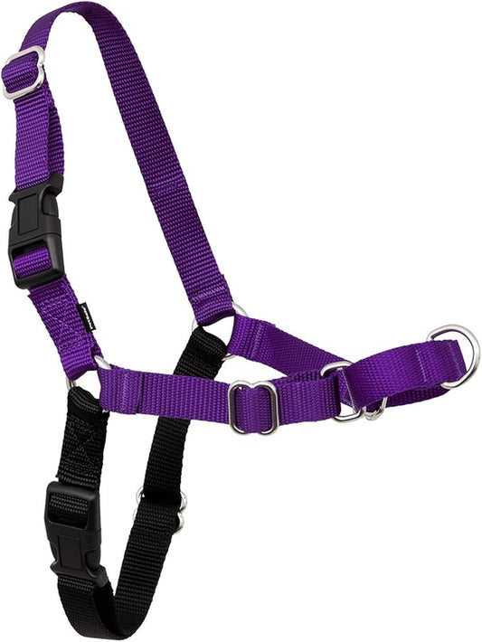 PetSafe Easy Walk Harness for Dogs - Pull-Free Walks - Patented Martingale Loop Design - Front Chest Leash Attachment - Comfort Straps - Breathable Harness Design - Large, Deep Purple/Black